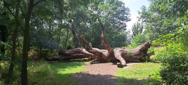   2025. június 9., Szarvas