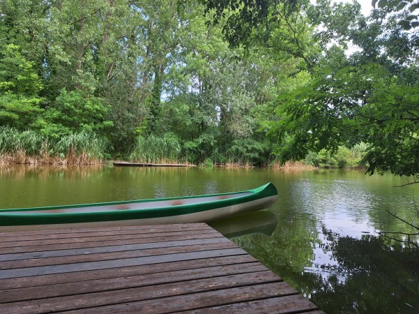  2025. június 9., Szarvas