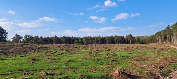  2023. október 14., Dóc, Magyarország